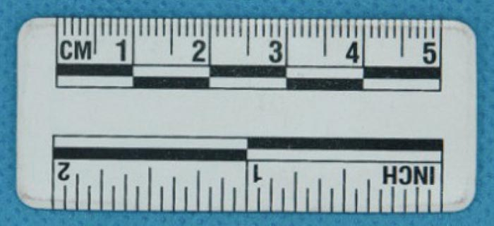 5厘米白色磁性比例尺(No.C153) 价格：￥20元/包