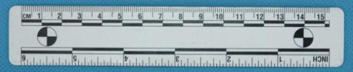 15厘米白色磁性比例尺(No.C157) 价格：￥40元/包