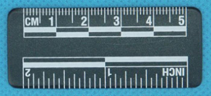 5厘米黑色磁性比例尺(No.C151) 价格：￥20元/包