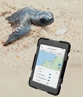 海龟海滩筑巢及孵化监测系统
