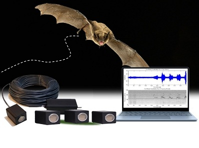 蝙蝠飞行室录音及分析系统
