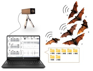 动物超声波录音及分序分析系统